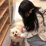 地牢猎手公益服下载